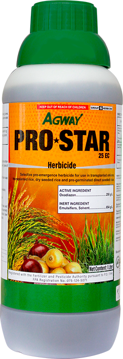Prostar 1L