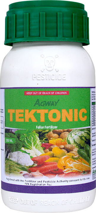 Tectonic 250ML