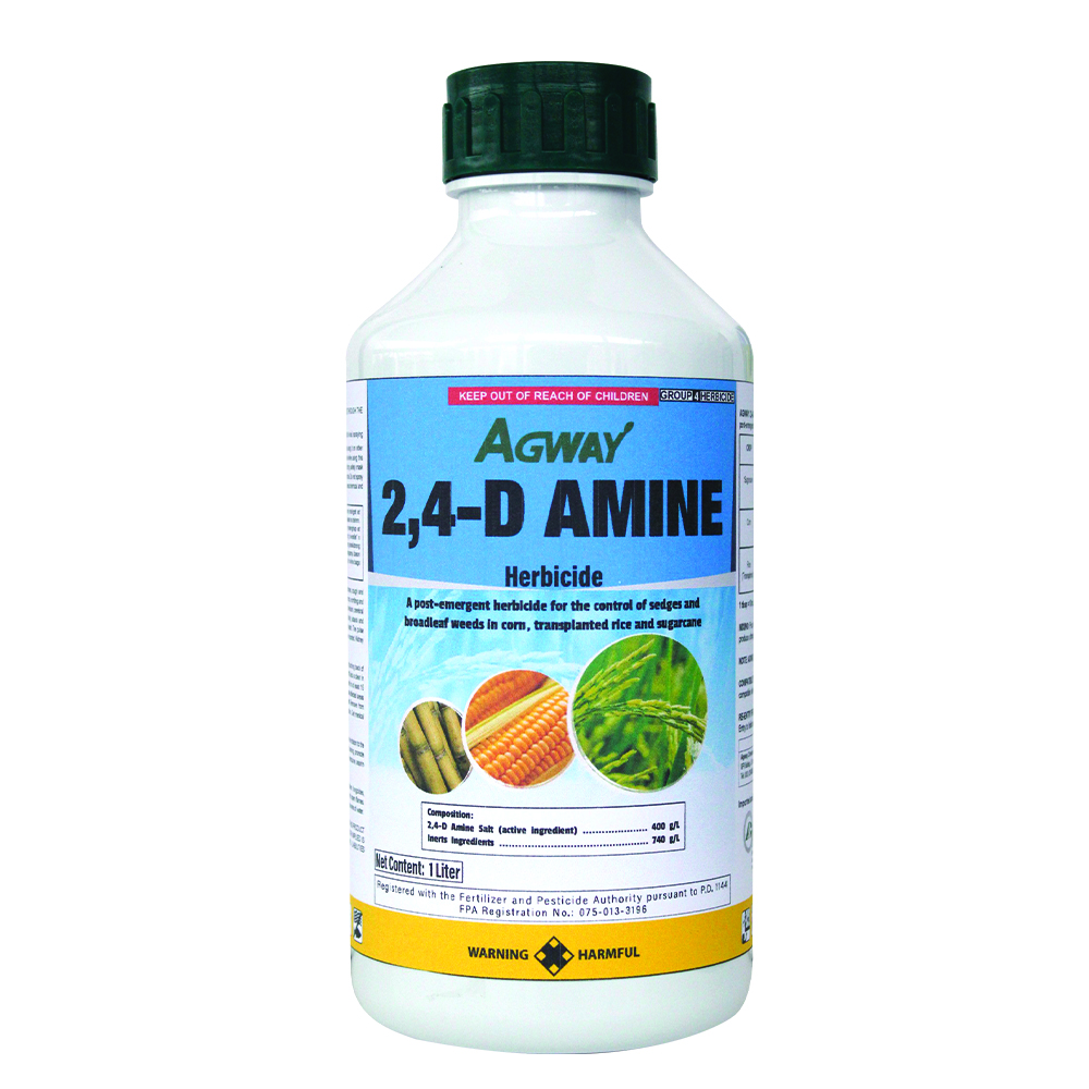 2 4D Amine 1L