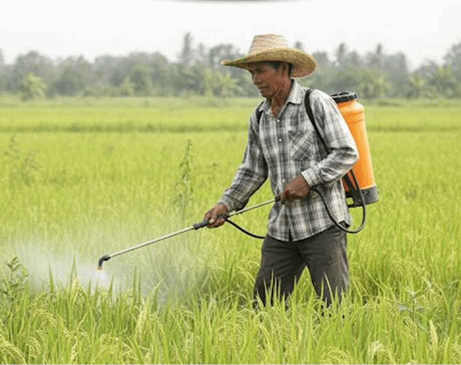 Banguard 420SC 1 Liter thumbnail