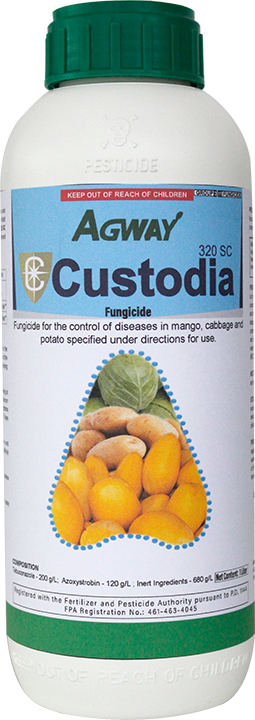 Custodia 1L