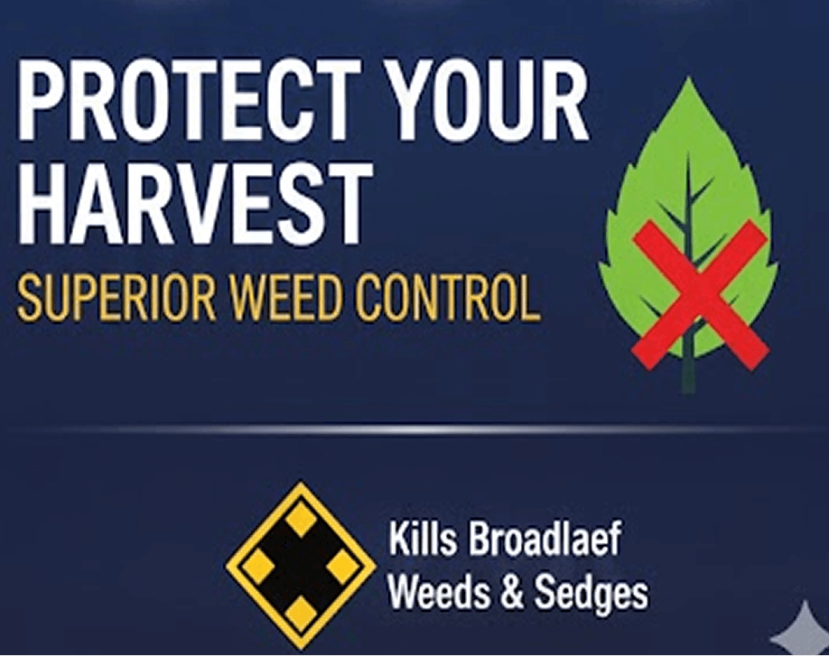 Banguard 420SC 1 Liter thumbnail