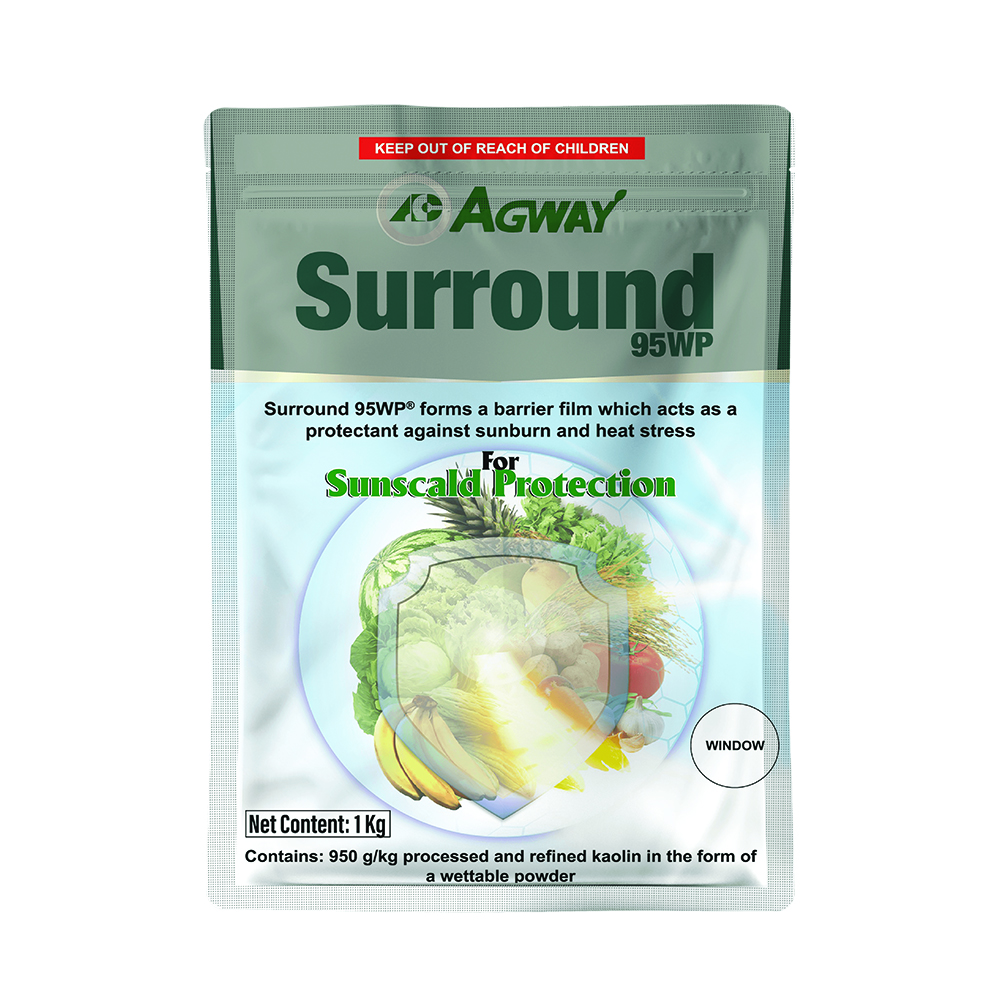 Surround 1kg