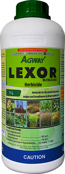 Lexor 1L