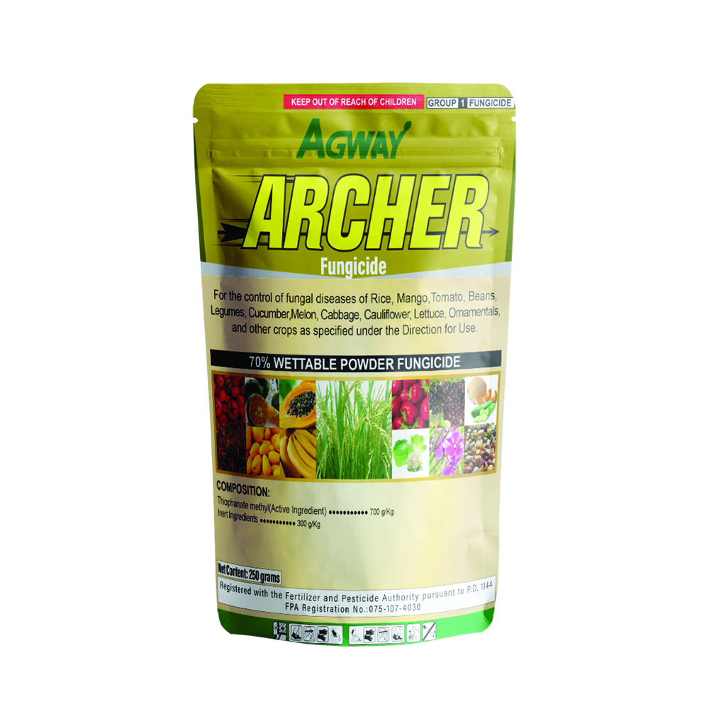 Archer 250grms