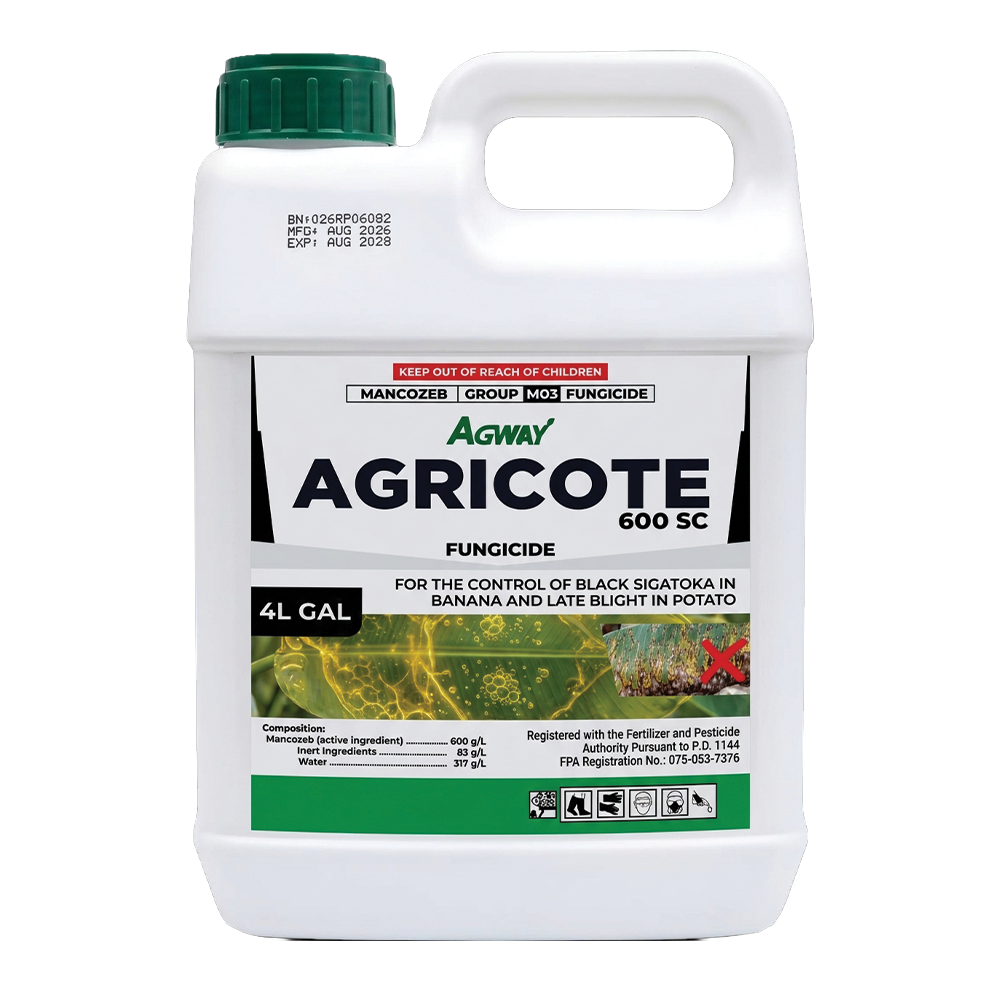 Agricote 600 SC 4L