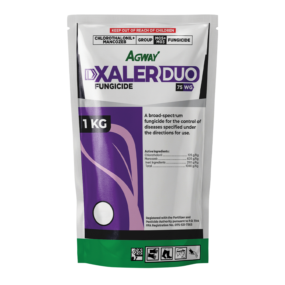 Xaler Duo 1KG