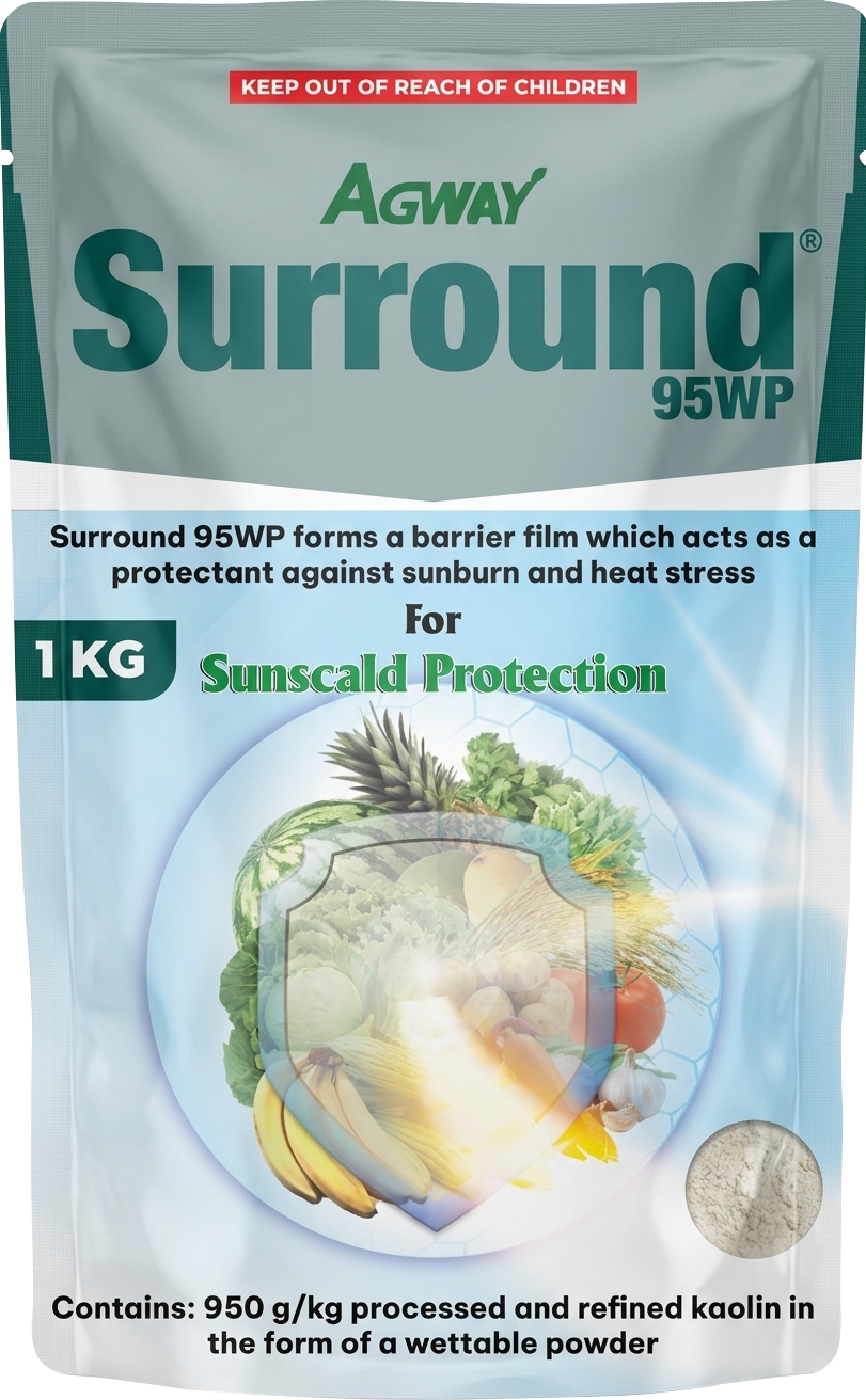 Surround 1kg